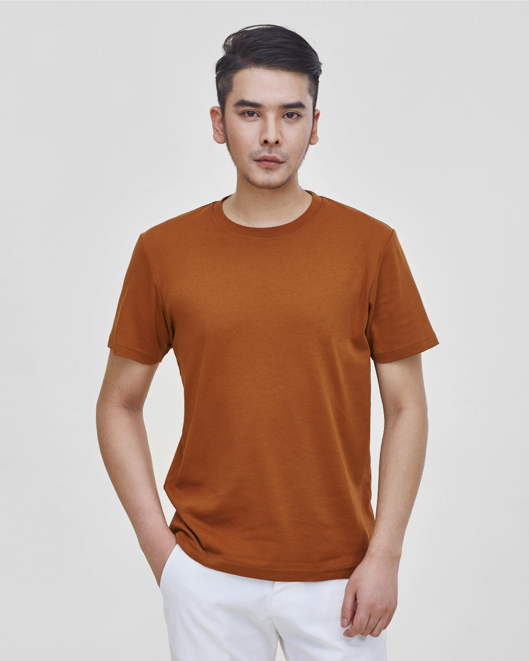 Men Premium Weight Cotton Crew Neck Tee (Seasonal)