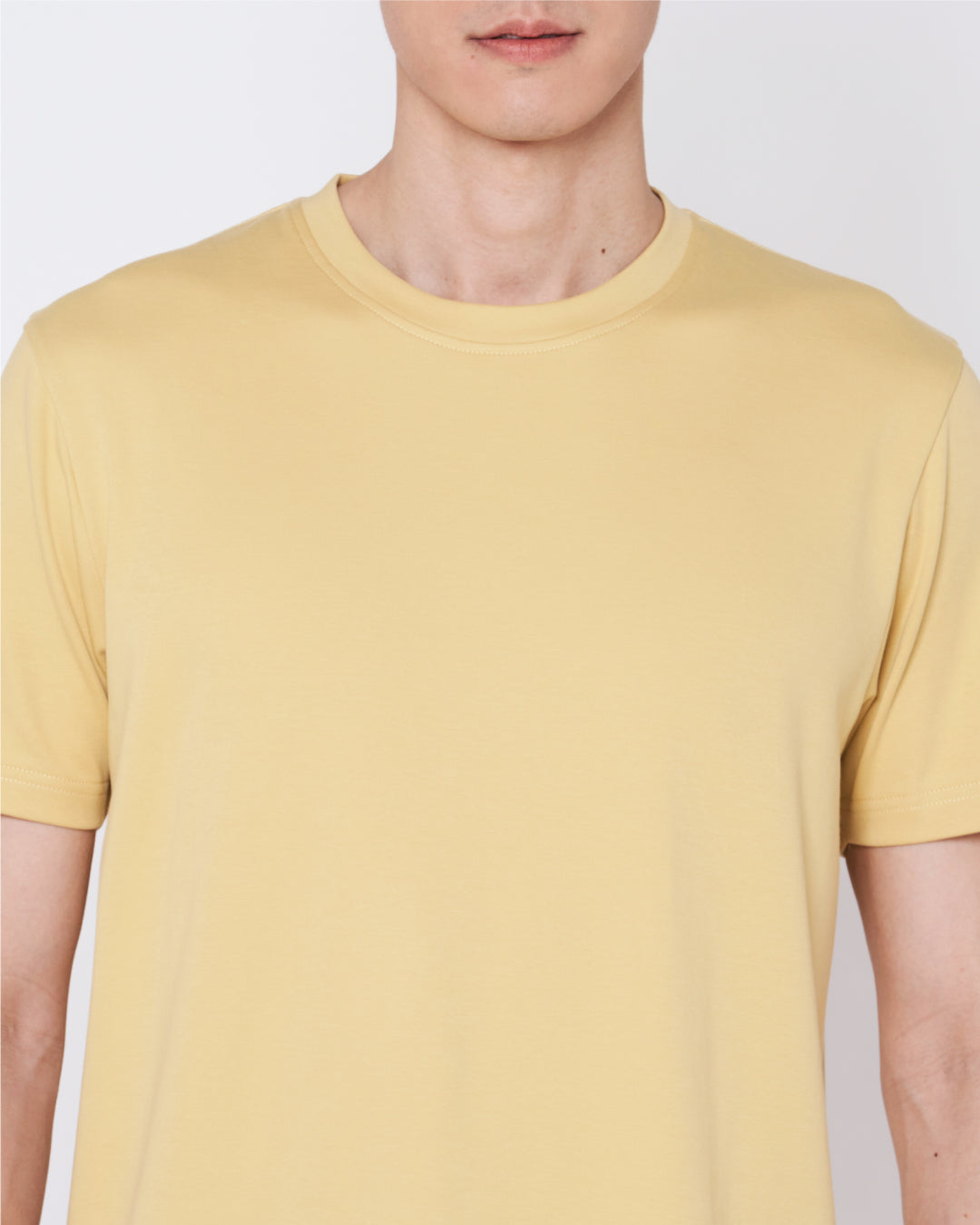 Men Premium Weight Cotton Crew Neck Tee (Seasonal)