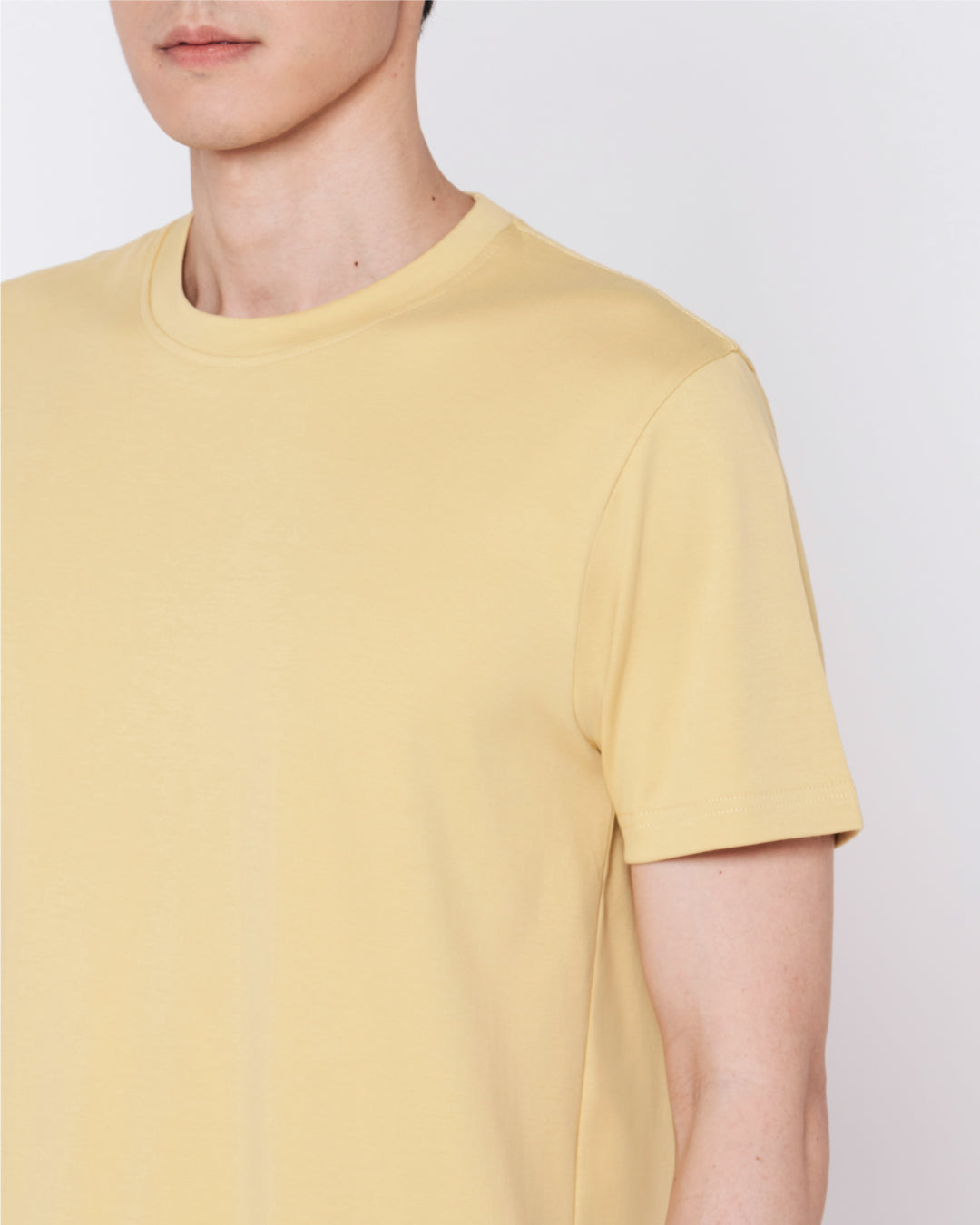 Men Premium Weight Cotton Crew Neck Tee (Seasonal)