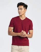 Men Premium Cotton V-Neck Tee