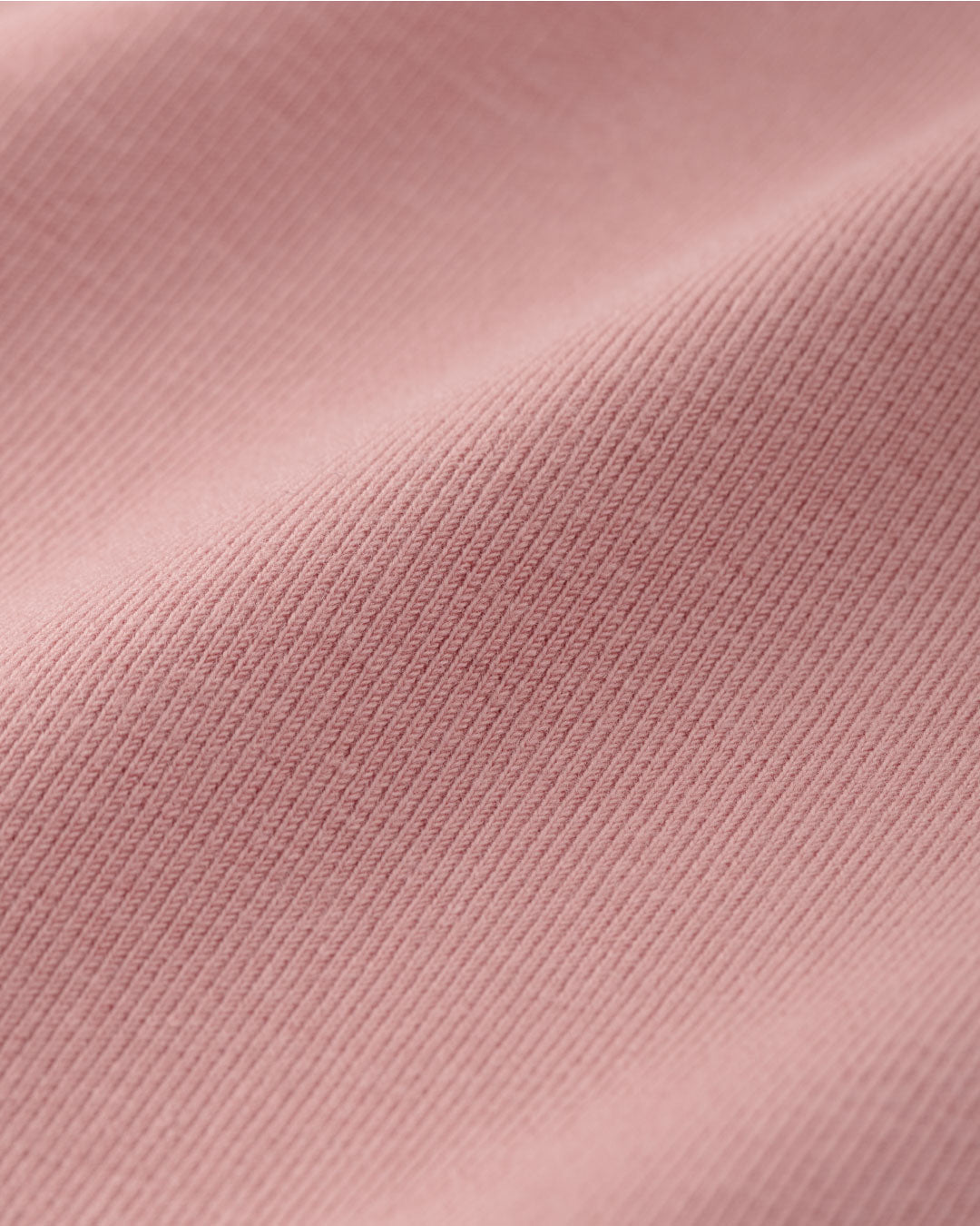 Women Boatneck Long Sleeve Fitted Top